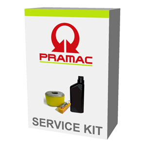 Pramac P6000 Generator Service Kit