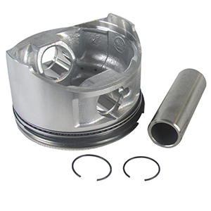 Piston Assembly Kit Suitable For Ford FG3050P & FG4650P