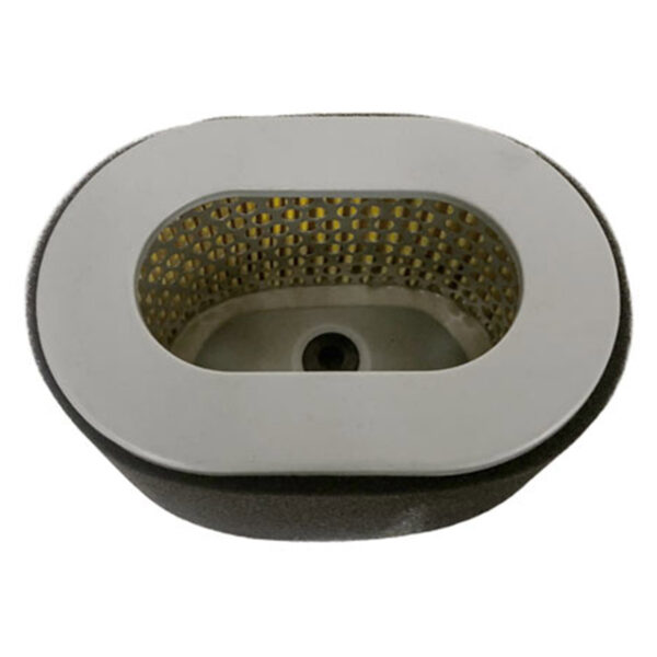 Warrior-Diesel-Air-Filter-LDG6500