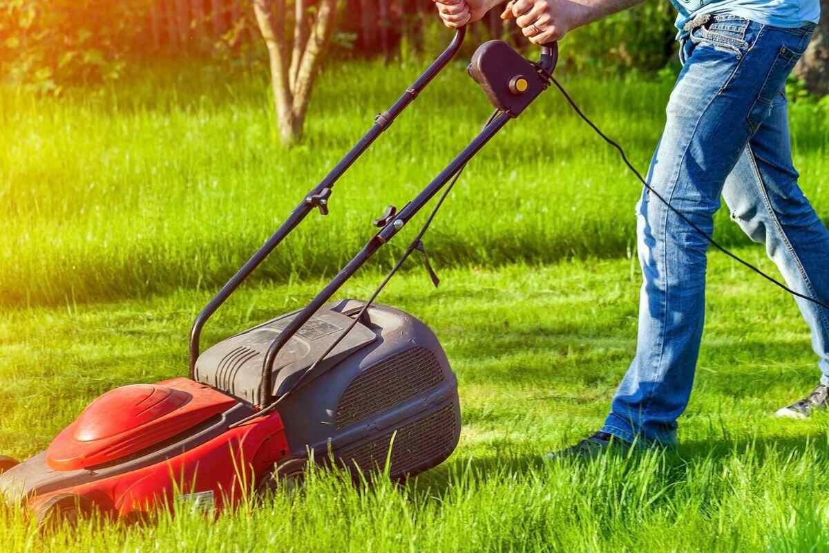Lawnmower Buying Guide: How to Choose