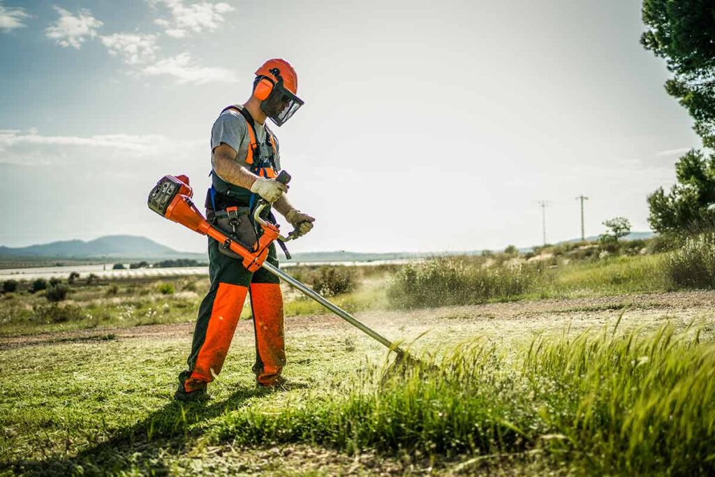 Actor Useing Trimmer Grass Trimmer Buying Guide: Everything You Need to Know | Generators Direct
