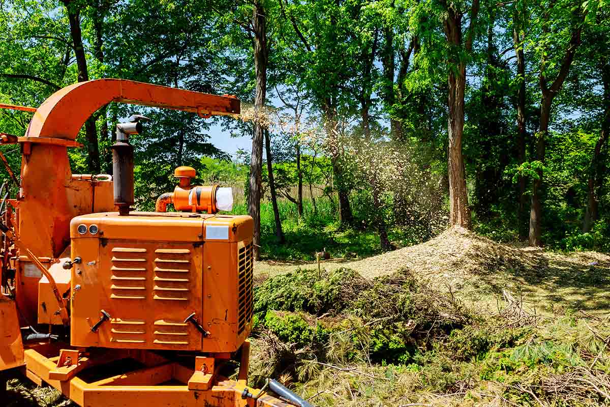 Garden Shredder Buying Guide