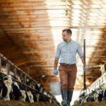 The Best Generator for Farm Use: Your Buying Guide