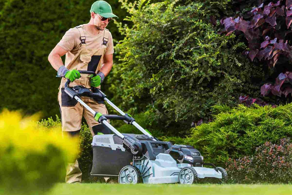 What Are the Best Cordless Garden Tools​ in 2025?