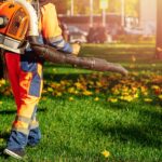 Your Complete Leaf Blower Buying Guide​
